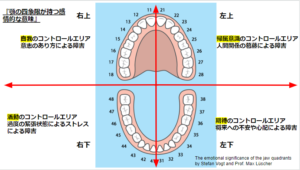 口の根本治療とTimeWaver